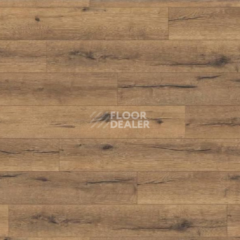 Ламинат Haro Tritty 100 4V ДУБ ИТАЛИКА НАТУР 530335 фото 1 | FLOORDEALER
